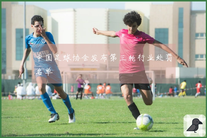 中国足球协会发布第三轮行业处罚名单